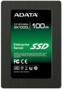 Enterprise Server SX1000L 100GB 2.5
