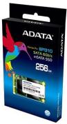 Premier Pro SP310 256GB mSATA Solid State Drive