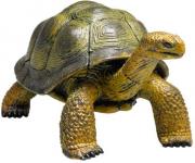 Nature Discovery Galapagos Tortoise 27 Pieces 3D Puzzle