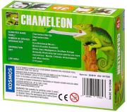 Nature Discovery Chameleon  19 Pieces 3D Puzzle
