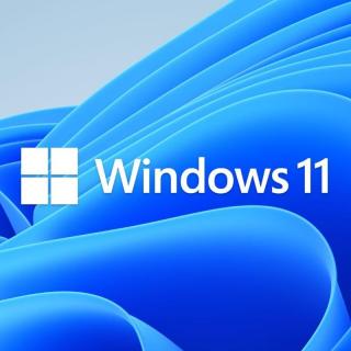 Windows 11 Home DSP 32/64 Bit Operating System - OEM (Advanced) 
