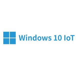 Windows 10 IoT Enterprise 2016 LTSC Multi-Language OEI Entry 